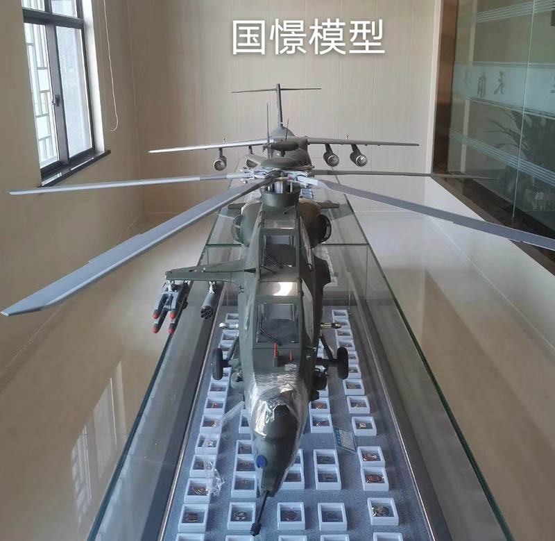 衡阳县飞机模型