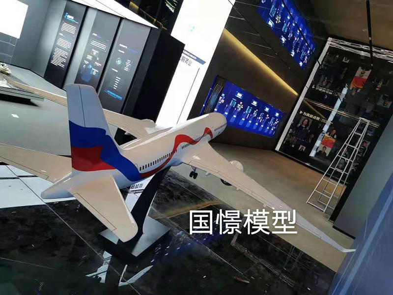 衡阳县飞机模型