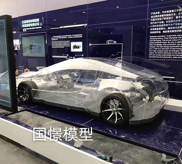 衡阳县透明车模型