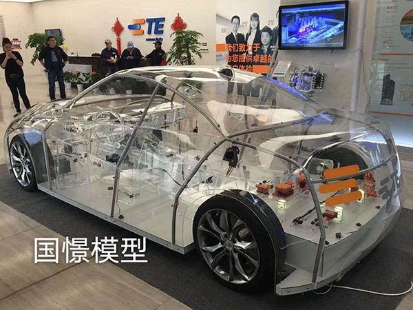 衡阳县透明车模型